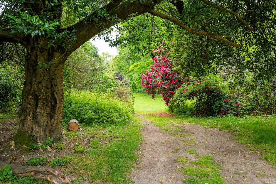 A tranquil garden scene with a large, mature tree on the left, its textured trunk surrounded by green foliage. A narrow dirt pathway curves gently through the lush greenery, leading towards a vibrant
